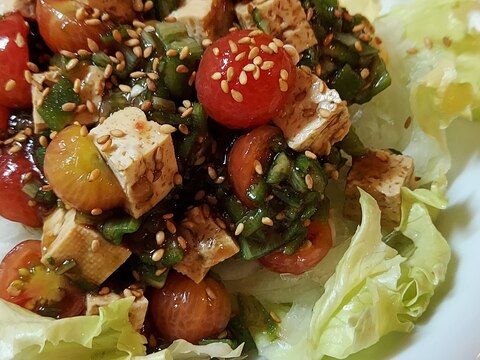 【糖質オフ】オクラとトマトの梅肉豆腐サラダ